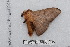  ( - BC-TDMPEG0535)  @13 [ ] Copyright (2012) Rodolphe Rougerie Research Collection of Rodolphe Rougerie