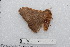  ( - BC-TDMPEG0543)  @12 [ ] Copyright (2012) Rodolphe Rougerie Research Collection of Rodolphe Rougerie