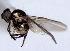 ( - BIOUG24648-G12)  @11 [ ] CreativeCommons - Attribution Non-Commercial Share-Alike (2015) Unspecified Lyman Museum, McGill University