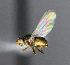  ( - BIOUG24647-H2)  @12 [ ] CreativeCommons - Attribution Non-Commercial Share-Alike (2015) Unspecified Lyman Museum, McGill University