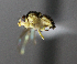  ( - BIOUG24648-H7)  @12 [ ] CreativeCommons - Attribution Non-Commercial Share-Alike (2015) Unspecified Lyman Museum, McGill University