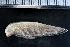  ( - AL-8003)  @11 [ ] Copyright (2018) Kruckenhauser L. Natural History Museum Vienna