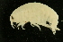  ( - UMBergen_NB_amp86)  @14 [ ] CreativeCommons - Attribution Non-Commercial Share-Alike (2012) Unspecified University of Bergen, Natural History Collections