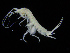  ( - ZMBN_108232)  @11 [ ] CreativeCommons - Attribution Non-Commercial Share-Alike (2016) University of Bergen Natural History Collections