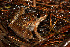  ( - WC12-A153)  @13 [ ] CreativeCommons - Attribution Non-Commercial Share-Alike (2013) PEM PEM
