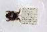 ( - PEM_D0001)  @12 [ ] CreativeCommons - Attribution Non-Commercial Share-Alike (2013) PEM PEM