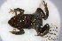  ( - WC10-159)  @12 [ ] CreativeCommons - Attribution Non-Commercial Share-Alike (2013) PEM PEM