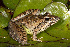  ( - ANG-434)  @14 [ ] CreativeCommons - Attribution Non-Commercial Share-Alike (2013) PEM PEM