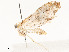  ( - CBG-A62887-G06)  @11 [ ] CreativeCommons - Attribution Share - Alike (2025) CBG Photography Group Centre for Biodiversity Genomics