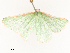  ( - CBG-A62890-A04)  @11 [ ] CreativeCommons - Attribution Share - Alike (2025) CBG Photography Group Centre for Biodiversity Genomics