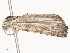  ( - CBG-A62890-A10)  @11 [ ] CreativeCommons - Attribution Share - Alike (2025) CBG Photography Group Centre for Biodiversity Genomics