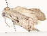  ( - CBG-A62890-B12)  @11 [ ] CreativeCommons - Attribution Share - Alike (2025) CBG Photography Group Centre for Biodiversity Genomics