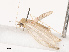  ( - CBG-B19163-C02)  @11 [ ] CreativeCommons - Attribution Share - Alike (2025) CBG Photography Group Centre for Biodiversity Genomics