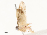  ( - CBG-A62909-C12)  @11 [ ] CreativeCommons - Attribution Share - Alike (2025) CBG Photography Group Centre for Biodiversity Genomics