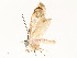  ( - CBG-A62910-C10)  @11 [ ] CreativeCommons - Attribution Share - Alike (2025) CBG Photography Group Centre for Biodiversity Genomics