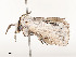  ( - CBG-A62911-C05)  @11 [ ] CreativeCommons - Attribution Share - Alike (2025) CBG Photography Group Centre for Biodiversity Genomics