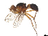  ( - CBG-A63691-H01)  @11 [ ] CreativeCommons - Attribution Share Alike (2025) CBG Photography Group Centre for Biodiversity Genomics