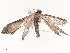  ( - CBG-B00494-D12)  @11 [ ] CreativeCommons - Attribution Share - Alike (2025) CBG Photography Group Centre for Biodiversity Genomics