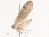  ( - CBG-B00494-E02)  @11 [ ] CreativeCommons - Attribution Share - Alike (2025) CBG Photography Group Centre for Biodiversity Genomics