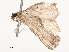  ( - CBG-B19184-C09)  @11 [ ] CreativeCommons - Attribution Share - Alike (2025) CBG Photography Group Centre for Biodiversity Genomics