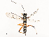  ( - CBG-B00605-B11)  @11 [ ] CreativeCommons - Attribution Share - Alike (2025) CBG Photography Group Centre for Biodiversity Genomics