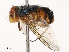  ( - CBG-B07458-E09)  @11 [ ] CreativeCommons - Attribution Share - Alike (2025) CBG Photography Group Centre for Biodiversity Genomics