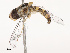  ( - CBG-B07458-F12)  @11 [ ] CreativeCommons - Attribution Share - Alike (2025) CBG Photography Group Centre for Biodiversity Genomics