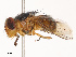  ( - CBG-B07596-H07)  @11 [ ] CreativeCommons - Attribution Share - Alike (2025) CBG Photography Group Centre for Biodiversity Genomics