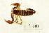  ( - BIOUG00180-A12)  @13 [ ] Copyright  G. Blagoev 2010 Unspecified