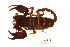  ( - BIOUG00180-B01)  @14 [ ] Copyright  G. Blagoev 2010 Unspecified