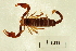  ( - BIOUG00180-C08)  @14 [ ] Copyright  G. Blagoev 2010 Unspecified
