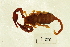  ( - BIOUG00180-D12)  @13 [ ] Copyright  G. Blagoev 2010 Unspecified