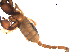 ( - BIOUG31820-D12)  @11 [ ] CreativeCommons - Attribution (2017) G. Blagoev Centre for Biodiversity Genomics