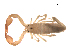  ( - BIOUG31820-E01)  @11 [ ] CreativeCommons - Attribution (2017) G. Blagoev Centre for Biodiversity Genomics