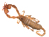  ( - BIOUG31820-E02)  @11 [ ] CreativeCommons - Attribution (2017) G. Blagoev Centre for Biodiversity Genomics