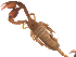  ( - BIOUG31820-E03)  @11 [ ] CreativeCommons - Attribution (2017) G. Blagoev Centre for Biodiversity Genomics