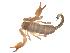  ( - BIOUG31820-E04)  @11 [ ] CreativeCommons - Attribution (2017) G. Blagoev Centre for Biodiversity Genomics