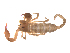  ( - BIOUG31820-E05)  @11 [ ] CreativeCommons - Attribution (2017) G. Blagoev Centre for Biodiversity Genomics