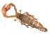  ( - BIOUG31820-E06)  @11 [ ] CreativeCommons - Attribution (2017) G. Blagoev Centre for Biodiversity Genomics