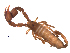  ( - BIOUG31820-E07)  @11 [ ] CreativeCommons - Attribution (2017) G. Blagoev Centre for Biodiversity Genomics