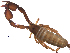  ( - BIOUG31820-E08)  @11 [ ] CreativeCommons - Attribution (2017) G. Blagoev Centre for Biodiversity Genomics