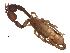  ( - BIOUG31820-E09)  @11 [ ] CreativeCommons - Attribution (2017) G. Blagoev Centre for Biodiversity Genomics