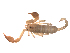  ( - BIOUG31820-E10)  @11 [ ] CreativeCommons - Attribution (2017) G. Blagoev Centre for Biodiversity Genomics