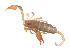  ( - BIOUG31820-F01)  @11 [ ] CreativeCommons - Attribution (2017) G. Blagoev Centre for Biodiversity Genomics