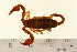  ( - VF-0785-1)  @13 [ ] CreativeCommons - Attribution (2010) Gergin Blagoev, Centre for Biodiversity Genomics Centre for Biodiversity Genomics