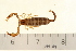  ( - VF-0789-1)  @11 [ ] CreativeCommons - Attribution (2010) Gergin Blagoev, Centre for Biodiversity Genomics Centre for Biodiversity Genomics