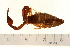  ( - VF-0792-1)  @13 [ ] CreativeCommons - Attribution (2010) Gergin Blagoev, Centre for Biodiversity Genomics Centre for Biodiversity Genomics