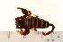  ( - VF-0802-1)  @14 [ ] CreativeCommons - Attribution (2010) Gergin Blagoev, Centre for Biodiversity Genomics Centre for Biodiversity Genomics