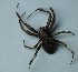  ( - UOS-SPK-00124)  @12 [ ] CreativeCommons - Attribution Non-Commercial Share-Alike (2015) Arif M. Khan University of Sargodha