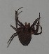  ( - UOS-SPK-00187)  @12 [ ] CreativeCommons - Attribution Non-Commercial Share-Alike (2015) Arif M. Khan University of Sargodha